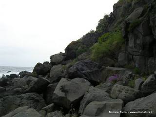 Acque_Grandi - 21-09-2014 17-53-00.jpg